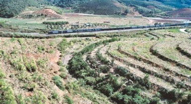 中老铁路上的“护象人”