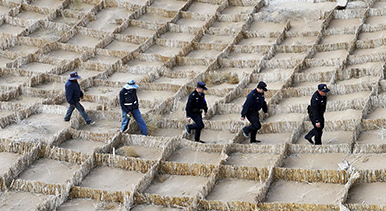 甘肃临泽:压沙织网正当时